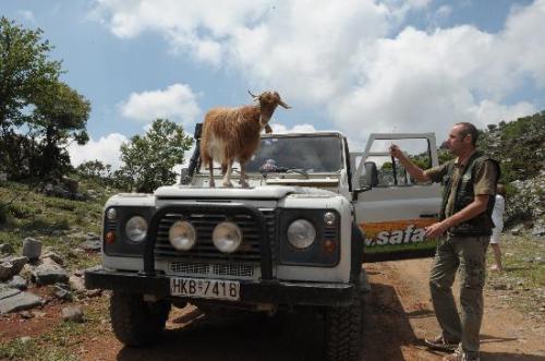 igoumenitsa-transfer-jeep-safari08